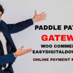 Paddle Payment Integration WordPress Plugin Best Image